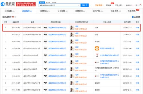 愛國者公司被限制高消費，計算機軟硬件業務面臨挑戰